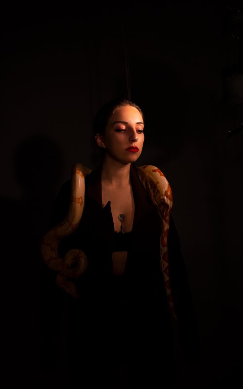 PORTFOLIO JULIA DEY STUDIO